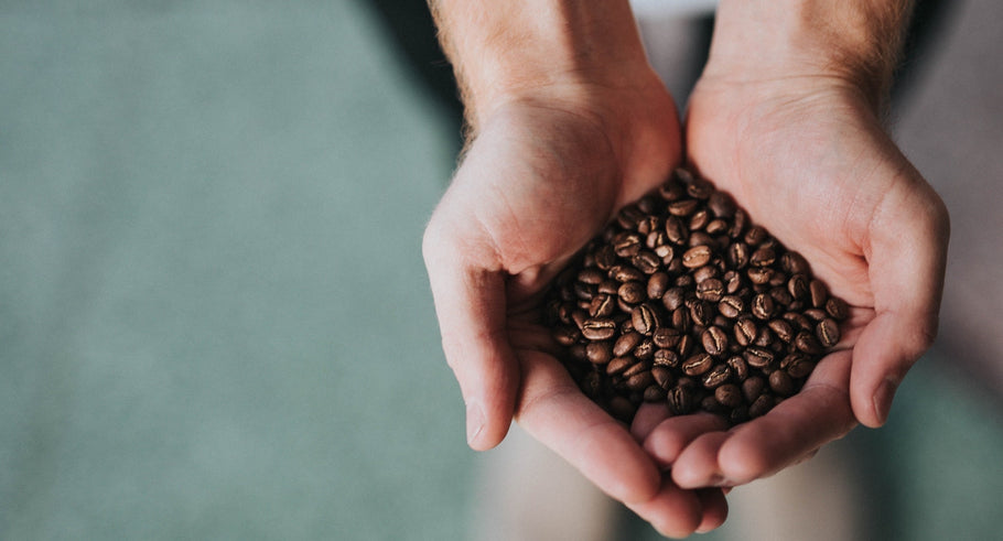 Where Did Coffee Originate?