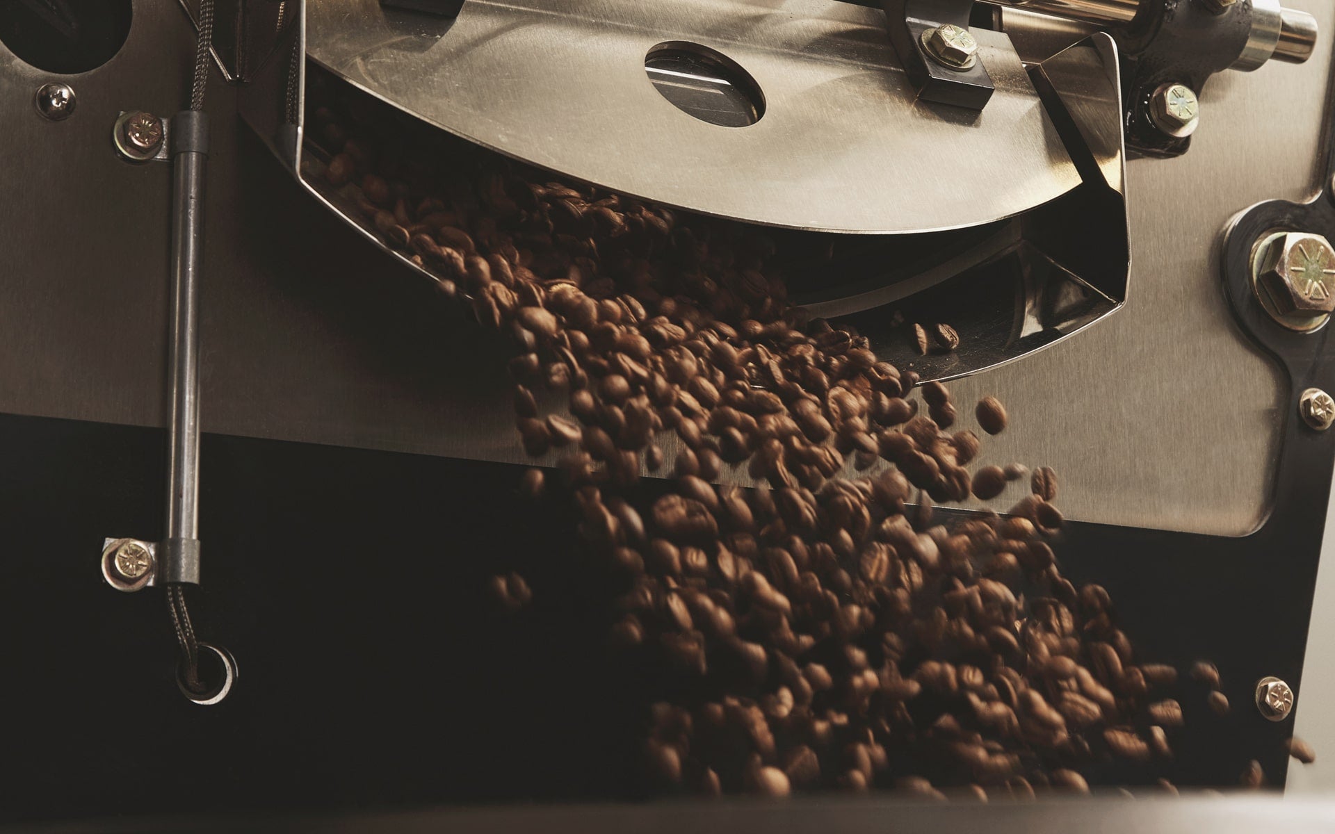 Victor Allen's Coffee Organic Peruvian, Medium Roast, 42 Count